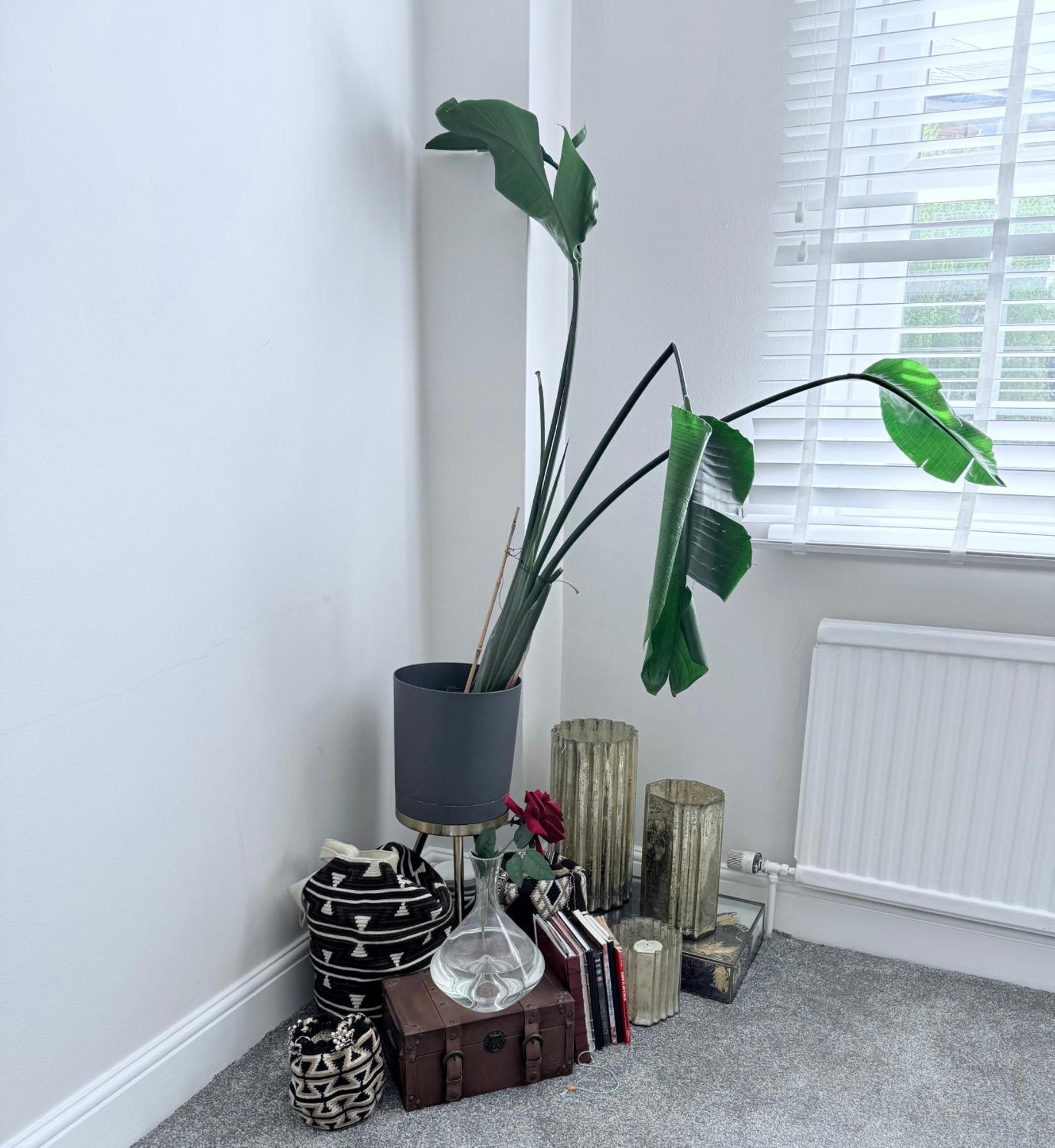 Bright And Modern Flat Near Portobello Road And The Canal London Exterior foto